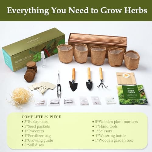 5 Herb Garden Planter Indoor with Wooden Box, Home Kitchen Seed Starter Kit Including Basil, Thyme, Parsley, Rosemary, Mint, Birthday, Mothers Day, House Warming, Gardening Gifts for Women, Mom - Thumbnail 3