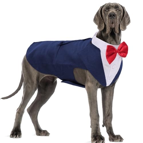 DORA BRIDAL Dog Tuxedo for Large Dogs, Dog Suit and Bowtie, Formal Dogs Wedding Outfit, Pet Tuxedo and Bandana Set Valentines Birthday Christmas Party Costumes for Labrador,Golden Retriever, Blue, XL
