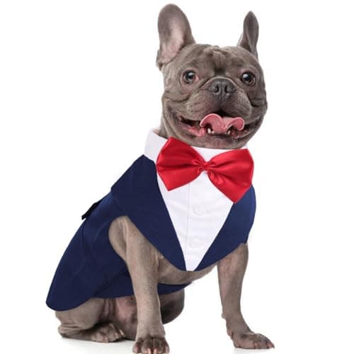 DORA BRIDAL Dog Tuxedo for Medium Dogs, Dog Suit and Bowtie, Formal Dogs Wedding Outfit, Pet Tuxedo and Bandana Set Valentines Birthday Costumes for French Bulldog, Pomeranian, Dachshund, Blue, M