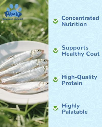 PAWUP Freeze Dried Minnows Dogs Treats – 100% Raw Single-Ingredient Pet Fish Snacks – Rich in Omega-3, Grain-Free – Healthy Training Rewards & Meal Toppers, 2.8 oz - Thumbnail 3