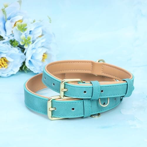 Jumpress Leather Dog Collar for Small Dogs, Soft Padded Dog Leather Collar with Heavy Duty Gold Buckle, Durable & Comfortable, Teal Blue, S - Thumbnail 4