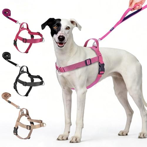 Annchwool No Pull Dog Harness with Front Clip and Easy Control Handle-Belly & Chest Adjustable Dog Harness and Leash Set for Medium Large Dogs-Heavy Duty Vest Harnesses Easy for Walking(Pink,XL)