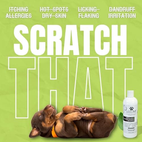 Lillian Ruff PRO Formula HypoCare+ Oatmeal Dog Shampoo | Clinically Tested Hypoallergenic Formula for Itch & Allergy Relief – Fragrance-Free with Aloe, Vitamin E & Pro-Vitamin B5 – Made in USA - Thumbnail 2