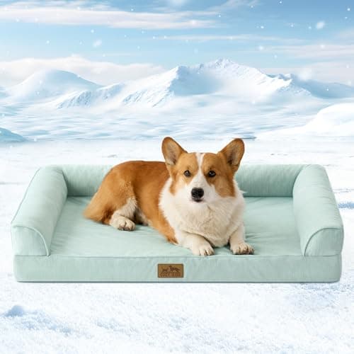 Cooling Dog Bed, Orthopedic Foam Dog Bed with Sides, Removable Cover & Waterproof Lining and Nonskid Bottom, Comfortable Pet Beds for Medium Dogs, Green (36" L x 27" W x 6.5" Th)