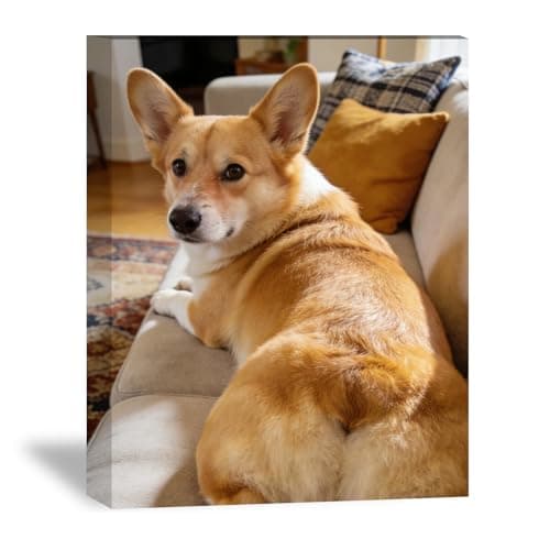HHTCMM Ship Next Day Custom Canvas Prints with Your Photos for Pet/Animal,Personalized Canvas Pictures for Framed Wall Art for your Pets/Baby/Family (8“Lx8”W) - Image 1