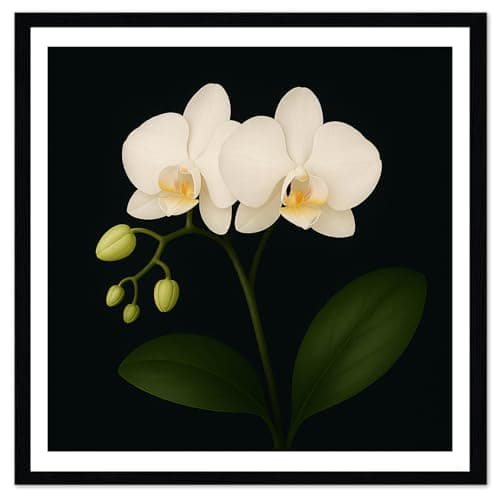 Moonow7 Framed White Orchid Wall Art for Living Room – Small Vintage Floral Print for Bedroom, Nature Gallery Wall, Flower Painting Picture, Moody Minimalist Flower Wall decor, Size 12x12”