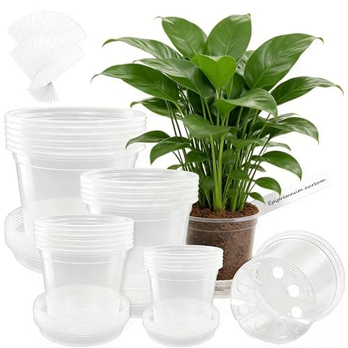 WandaQueen 24 Packs 7/6/5/4 Inch Clear Nursery Pots for Plants with Sacuers, Plastic Flower Pots with Drainage Hole, Variety Pack Seedlings Plant Pot with 24 Plant Labels - Image 1