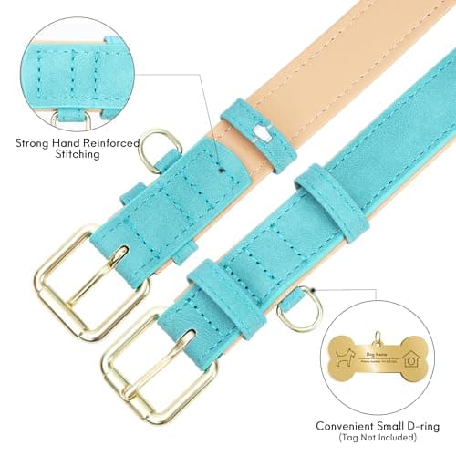 Jumpress Leather Dog Collar for Small Dogs, Soft Padded Dog Leather Collar with Heavy Duty Gold Buckle, Durable & Comfortable, Teal Blue, S - Thumbnail 5
