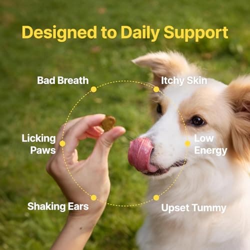 PENPEN Probiotics for Dogs, Dogs Probiotics for Digestive Health, Multi-Probiotic and Enzyme Blend Promote Gut Health & Immune Support, Eases Sensitive Stomachs (Beef Chews, 50ct) - Thumbnail 6