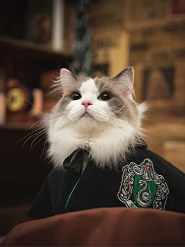 Dog Cat Costumes with Glasses and Neckties,Cosplay Costume Set Perfect for Party and Gifts for Cat Dog (Slytherin, Small) - Thumbnail 3