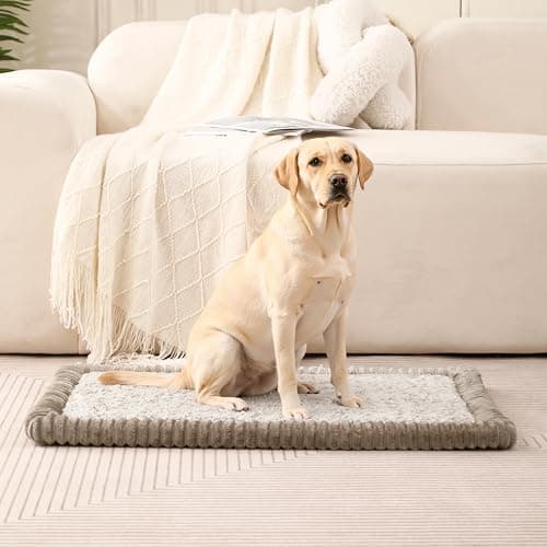 MINIDEAR Dog Crate Pad, Crate Bed Non-Skid Kennel Pad, Rubber Backing Memory Foam for Dog Bed Mat, Machine Washable Dog Bed for Crate, 23"x36" - Image 1