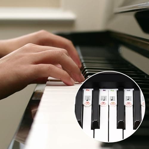 XynkoreX Silicone Piano Keyboard Stickers, Removable Piano Keyboard Note Labels for Learning, 88-Key Full Size, Piano Notes Guide for Beginner, Reusable Comes Unique and cute dog paw design (Rainbow) - Thumbnail 4