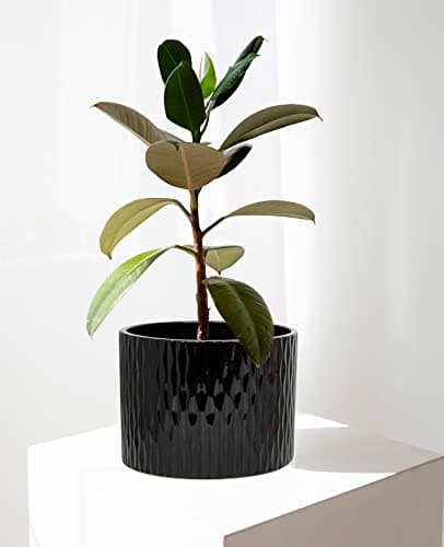 LaDoVita Ceramic Plant Pot with Stand, 10 Inch Planter with Wood Shelf, Modern Round Flower Pots Indoor with Wood Planter Holder, Black Water Ripple Pattern - Thumbnail 6