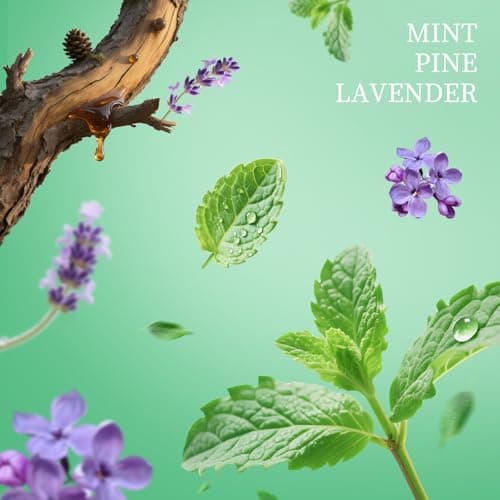 TOUCHFEEL Spray Hand Sanitizer Travel Size Scented 3-Pack - Refillable Hydrating Hand Sanitizers Portable Design Travel Essentials (Mint Reverie, Silver Cedar, Citrus mist at dawn) 0.93Fl Oz Each - Thumbnail 6