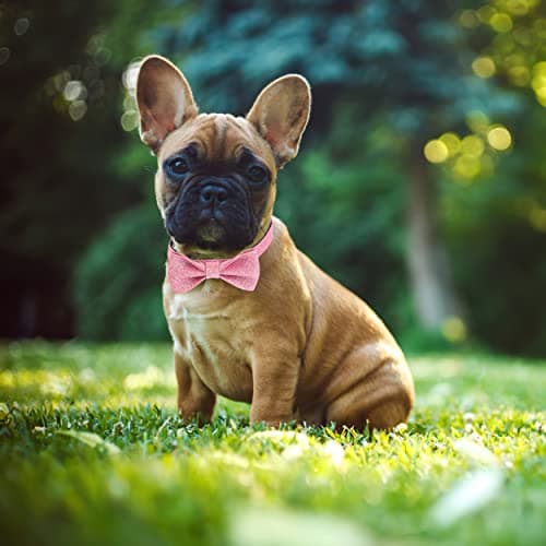 Jumpress Bling Dog Bow Tie Collar for Small Medium Dogs, Cute Pink Girl Dog Collar with Bow for Daily Walking or Holiday Party (Neck fit 13-19’’) - Thumbnail 4