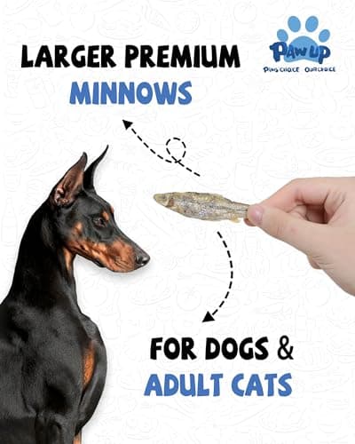 PAWUP Freeze Dried Minnows Dogs Treats – 100% Raw Single-Ingredient Pet Fish Snacks – Rich in Omega-3, Grain-Free – Healthy Training Rewards & Meal Toppers, 2.8 oz - Thumbnail 2