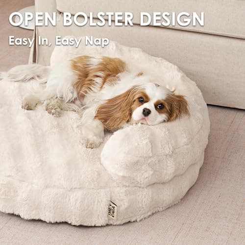 EHEYCIGA Soft Cat Couch Bed for Indoor Cats, Fluffy Small Dog Bed with Removable Washable Cover, Bolster Pet Sofa, Waterproof and Non-Slip, 26" x 26"x 8", Cream - Thumbnail 3