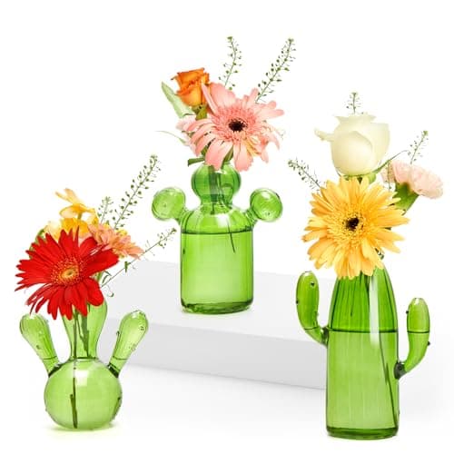 XXXFLOWER Cactus Plant Propagation Station Terrarium Jars for Plant Cuttings Air Plant Holders Unique Glass Flower Vase for Hydroponics Plants for Plant Lovers Home Garden Decor - Image 1