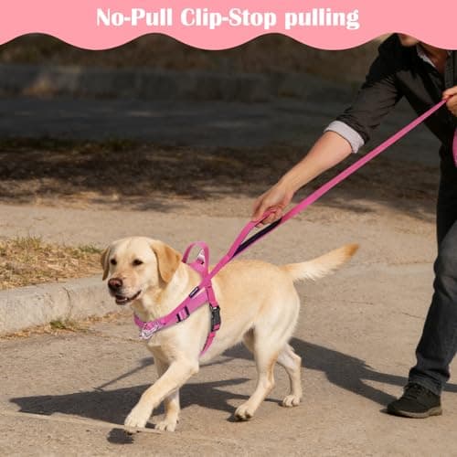 Annchwool No Pull Dog Harness with Front Clip and Easy Control Handle-Belly & Chest Adjustable Dog Harness and Leash Set for Medium Large Dogs-Heavy Duty Vest Harnesses Easy for Walking(Pink,XL) - Thumbnail 6