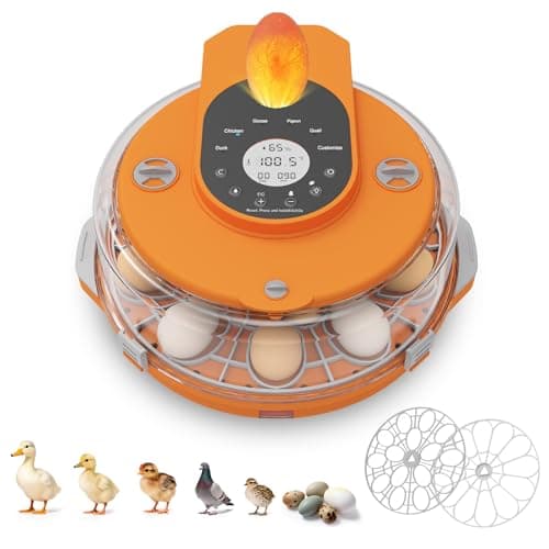 Incubators for Hatching Eggs,15 Egg Incubator with Automatic Egg Turner,Temperature & Humidity Control，Egg Candler,Incubators with 2 Trays, 360° Viewing for Hatching Chicken Duck Goose Quail Bird - Image 1