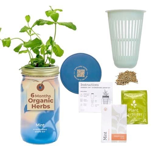 Modern Sprout Mason Garden Jar - Self-Watering Hydroponics Growing System Kit with Organic Herb Seeds - Jar Planter for Indoor Herb Garden - Seed Starter Kit - Home Decor & Gifting - Mint - Image 1