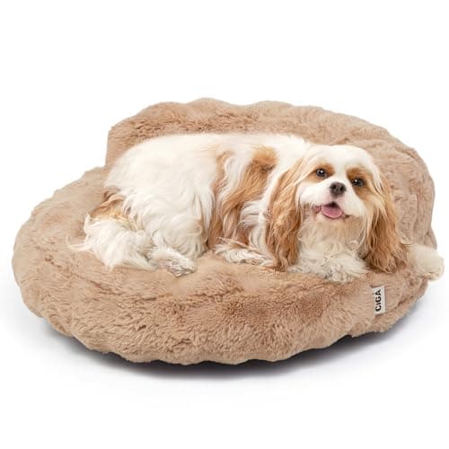 EHEYCIGA Soft Cat Couch Bed for Indoor Cats, Fluffy Small Dog Bed with Removable Washable Cover, Bolster Pet Sofa, Waterproof and Non-Slip, 26" x 26"x 8", Camel - Image 1