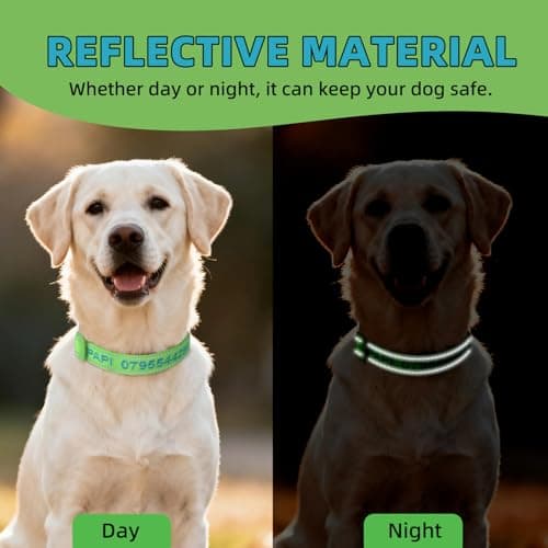 Custom Nylon Reflective Dog Collar, Personalized Embroidered Dog Collar with Name and Phone Number, Upgraded D-Shaped Leather Ring, 4 Adjustable Sizes - for Boy, Girl Dogs (Embroidery) - Thumbnail 4