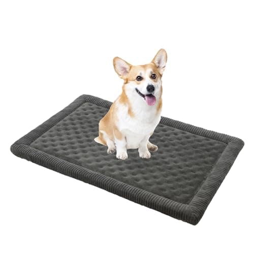 MINIDEAR Dog Crate Pad, Crate Bed Non-Skid Kennel Pad, Rubber Backing Memory Foam for Dog Bed Mat, Machine Washable Dog Bed for Crate, 17"x24" - Image 1