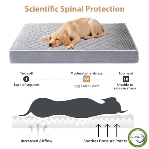 WNPETHOME Orthopedic XXL Dog Beds Large Sized Dog, Waterproof Extra Large Dogs Bed with Removable Washable Cover, Multi-Needle Quilting Dogs Crate Bed - Thumbnail 3
