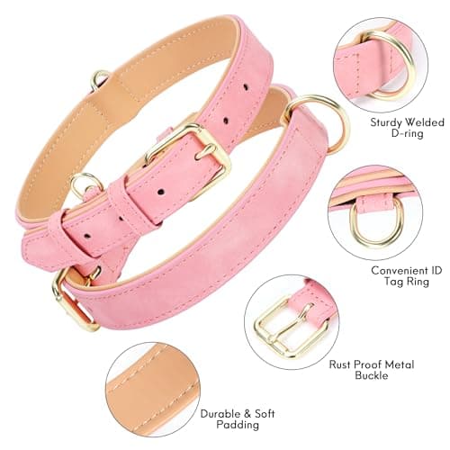 Jumpress Leather Dog Collar for Small Medium Large Dogs, Soft Padded Dog Leather Collar with Heavy Duty Gold Buckle, Durable & Comfortable for Medium Dogs Daily Walking (Pink, M) - Thumbnail 2