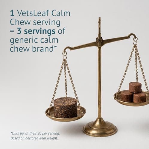 VetsLeaf Calming Chews for Dogs - Dog Anxiety Relief and Calming Sleep Support with Theanine, Lemon Balm, Taurine & Inositol - Fireworks, Thunderstorms & Separation Anxiety - Made in USA - 60 Count - Thumbnail 4