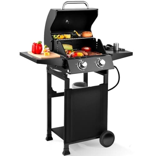 RYHOFOUD Q039-2-Burner Gas Grill with 234 SQ.IN. Outdoor Grill with 16,000 BTU,Propane Grills with Top Cover Lid,Grills Outdoor Cooking for Camping,Balcony,Patios,Garden - Image 1