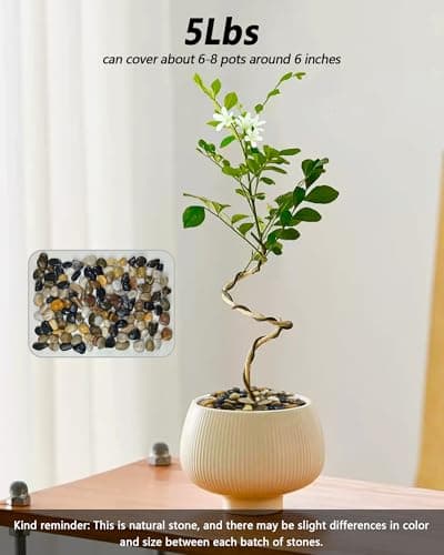 Garrdeen 5LB Polished Mixed River Rocks, Natural Decorative Stones for Indoor Outdoor Plants, Succulents, Vases, Fish Tank, Garden Landscaping & Top Dressing Pebbles 1-2.2Inch - Thumbnail 4