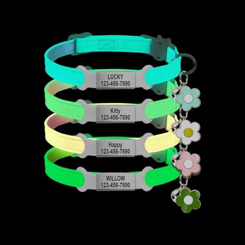 Personalised Glow in The Dark Cat Collar with Bell, Adjustable Breakaway Safety Luminous Collar with Stainless Steel Name Tag Fluorescent Glow (Grow in The Dark) - Image 1