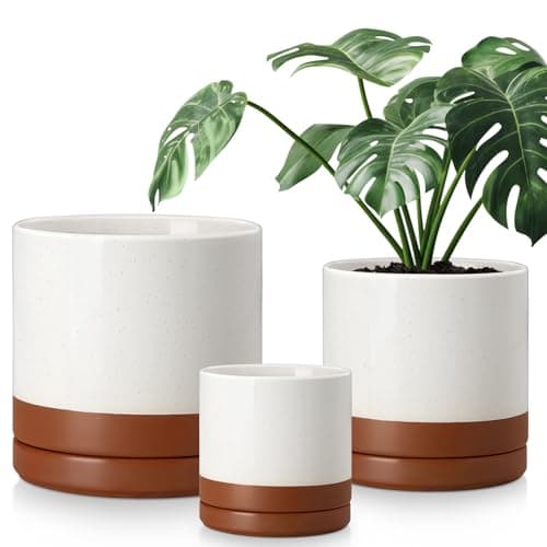 vancasso Ceramic Pots for Plants, Plant Pots for Indoor Plants, 6.25+8.25+10.25 Inch Ceramic Planters, Flower Pots with Drainage Holes, Planters Pot for Indoor House Plant, Set of 3, Khaki - Image 1
