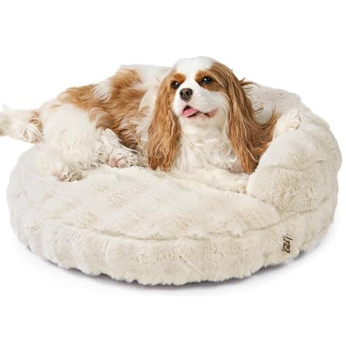 EHEYCIGA Soft Cat Couch Bed for Indoor Cats, Fluffy Small Dog Bed with Removable Washable Cover, Bolster Pet Sofa, Waterproof and Non-Slip, 26" x 26"x 8", Cream