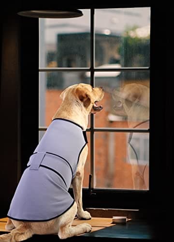 Sychien Dog Anxiety Jacket,Dog‘s Thunder Calming Shirt Wrap Vest for Large Dogs,Travel, Fireworks, Separation, Bluish Grey L - Thumbnail 6