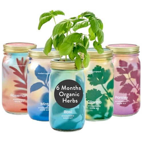 Modern Sprout New & Improved Mason Jar Grow Set, Indoor Herb Garden, Seed Starter Set, Organic Seeds, Hydroponic Growing (Basil + Mint + Parsley + Cilantro + Rosemary) - Image 1