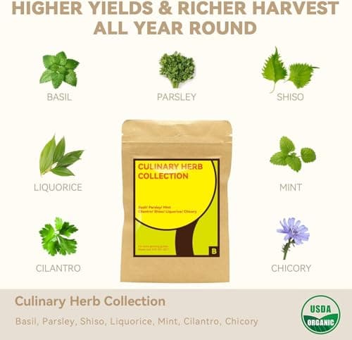 inbloom Culinary Herbs Seed Pod Kit for Hydroponics Growing System, 12 Pods (350+ Seeds with Basil, Parsley, Shis0, Liquorice, Mint, Cilantro, and Chic0ry) - Thumbnail 2