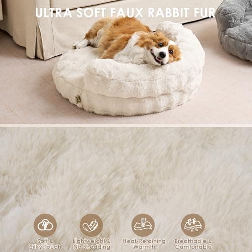 EHEYCIGA Soft Cat Couch Bed for Indoor Cats, Fluffy Small Dog Bed with Removable Washable Cover, Bolster Pet Sofa, Waterproof and Non-Slip, 26" x 26"x 8", Cream - Thumbnail 4