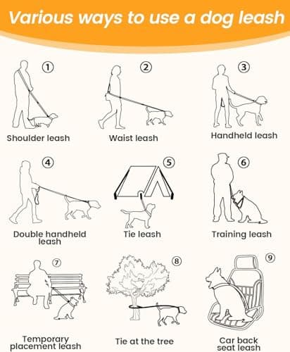 AOTECC Hands Free Dog Leash with Waist Belt, Shock Absorbing Bungee Lead | Padded Handle and Reflective Strip | Walking Jogging Running Leash with Car Safety Buckle, 6.3-9.7Ft - Thumbnail 5