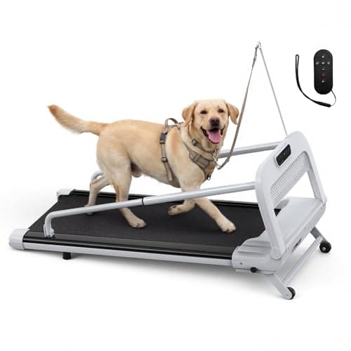 Lastforever Dog Treadmill for Small & Medium Dogs, Quiet 2.5HP Motor, Remote Control, LED Display, Indoor Pet Exercise Treadmill with Safety Leash (Small/Medium/Large/6.5MPH/Incline) - Image 1