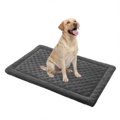 MINIDEAR Dog Crate Pad, Crate Bed Non-Skid Kennel Pad, Rubber Backing Memory Foam for Dog Bed Mat, Machine Washable Dog Bed for Crate, 23"x36" - Image 1