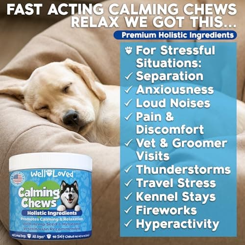 Well Loved Calming Chews for Dogs - Dog Calm Treats, Made in USA, Vet Developed, Behavior Support, Stress, Separation, Fireworks, Travel, Melatonin, Natural & Holistic, 90 Count - Thumbnail 2