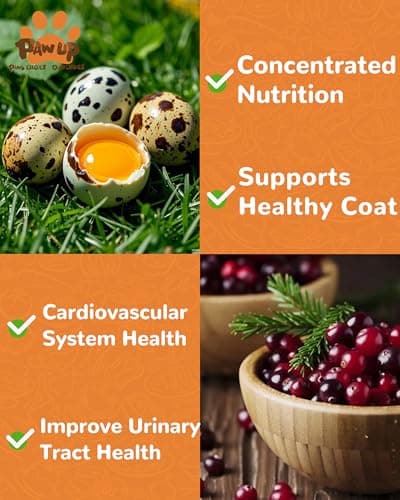 PAWUP Freeze Dried Cat & Dog Treats, Natural Quail Egg Yolk, Rich in Antioxidants Cranberry Added, High-Protein Pet Snacks for Coat & Urinary Health, 3.5 oz - Thumbnail 3