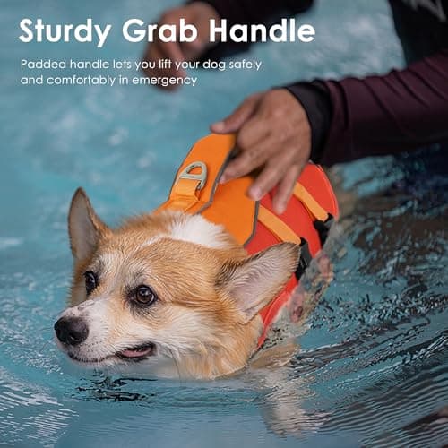 Dog Life Jacket, High Buoyancy Dog Life Vest with Handle for Swimming Boating, Adjustable Swimming Vest with Reflective Trim for Small Medium Large Dogs - Orange, XL - Thumbnail 4