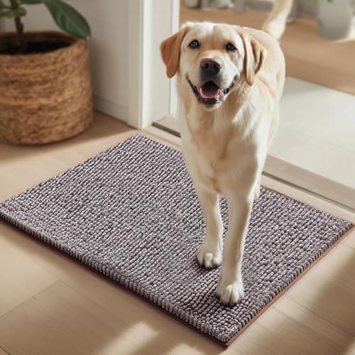 EHEYCIGA Super Absorbent Dog Door Mat for Muddy Paws 24x16 Inch Indoor, Front Doormat Outside Entrance, Quick Dry Chenille Washable Dog Crate Bed, Non-Slip Pet Rug Mud Mat Outdoor Entryway, Brown - Image 1