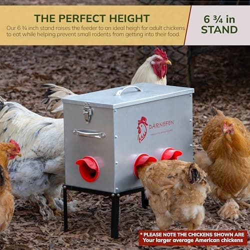 Automatic Chicken Feeder Rat Proof - 40lb 6 Ports Large Capacity Metal Poultry Feeder with Legs and Lids - Galvanized Chicken Feeder for Hen Coop - Thumbnail 6