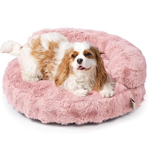 EHEYCIGA Soft Cat Couch Bed for Indoor Cats, Fluffy Small Dog Bed with Removable Washable Cover, Bolster Pet Sofa, Waterproof and Non-Slip, 26" x 26"x 8", Pink