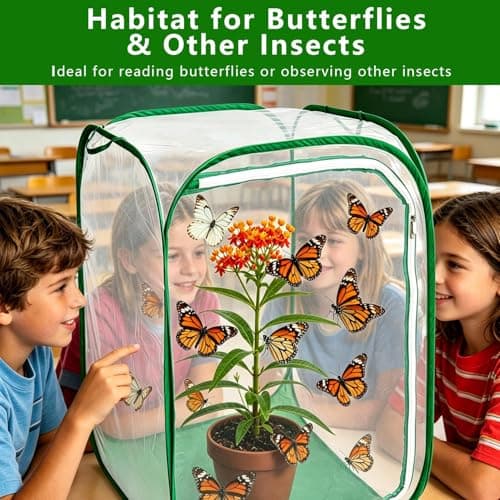 Butterfly Habitat Insect Cage Clear See Through Pop-up Collapsible Butterfly Enclosure-Large 23.6"x23.6"x35.4" - Thumbnail 5